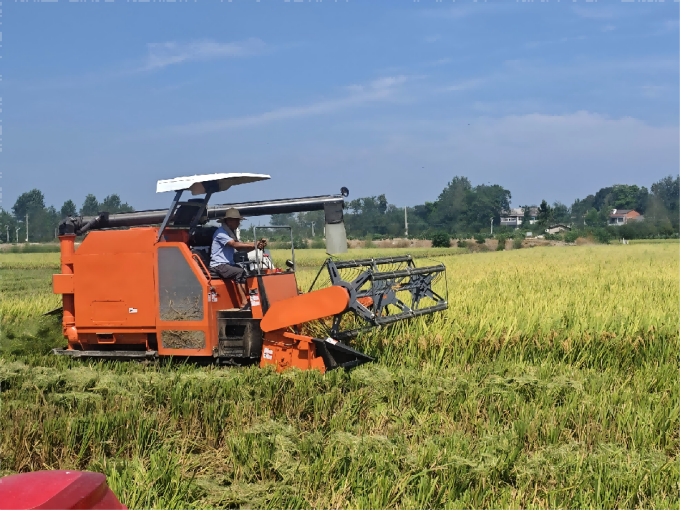 Safety First Safety First